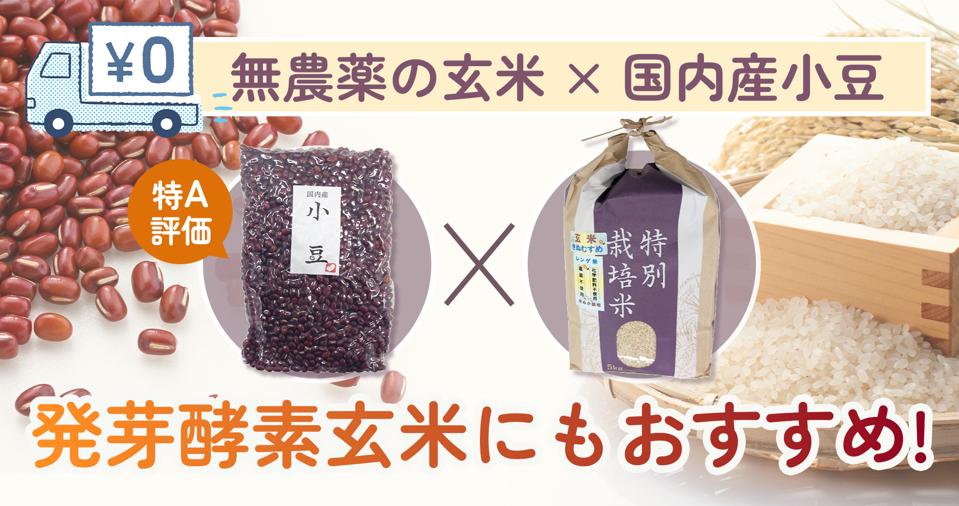 バナー2