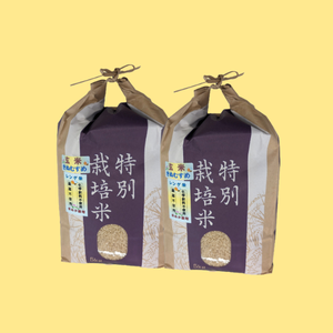 【玄米キャンペーン】きぬむすめ 自然栽培玄米5㎏ 2袋セット【お得な5％OFF】