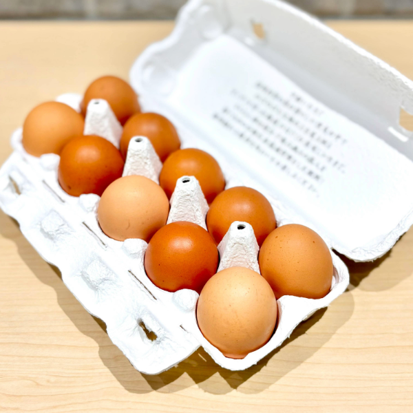 平飼卵 10個パック – ちきゅうのうたげ