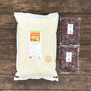 【新米】発芽玄米2点セット(玄米・小豆)[ふさこがね]