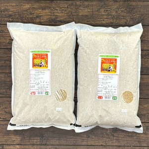【玄米キャンペーン】2個セットお得な5％OFF 千葉のふさこがね 玄米5kg