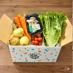 新鮮野菜セット