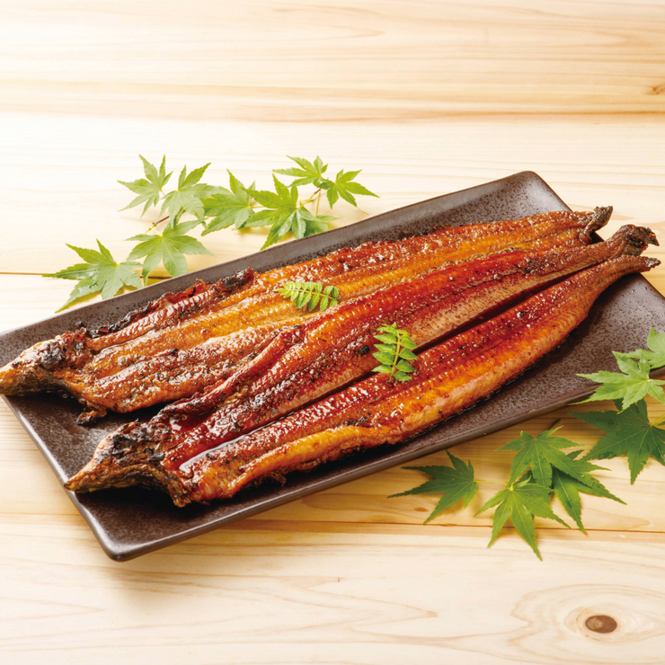 【直送】【冷凍】福井鮮魚 紀州備長炭焼き・うなぎ蒲焼【MS】