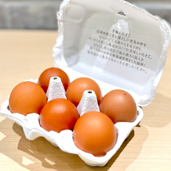 平飼卵 6個パック – ちきゅうのうたげ