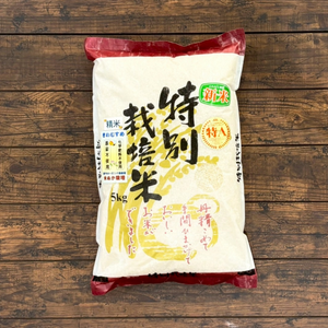 【お米】岡山県産 きぬむすめ 白米 5kg