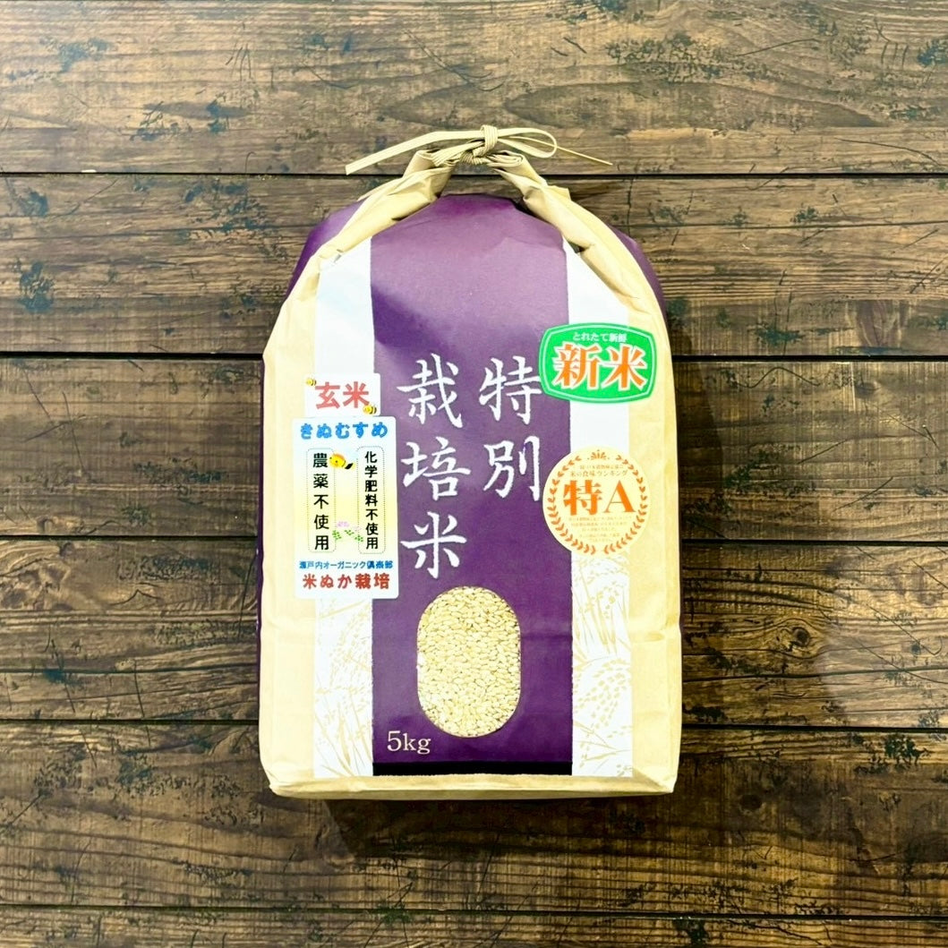 2025年産　岡山県産　玄米 きぬむすめ 岡山県産 きぬむすめ 自然栽培玄米5㎏ – ちきゅうのうたげ